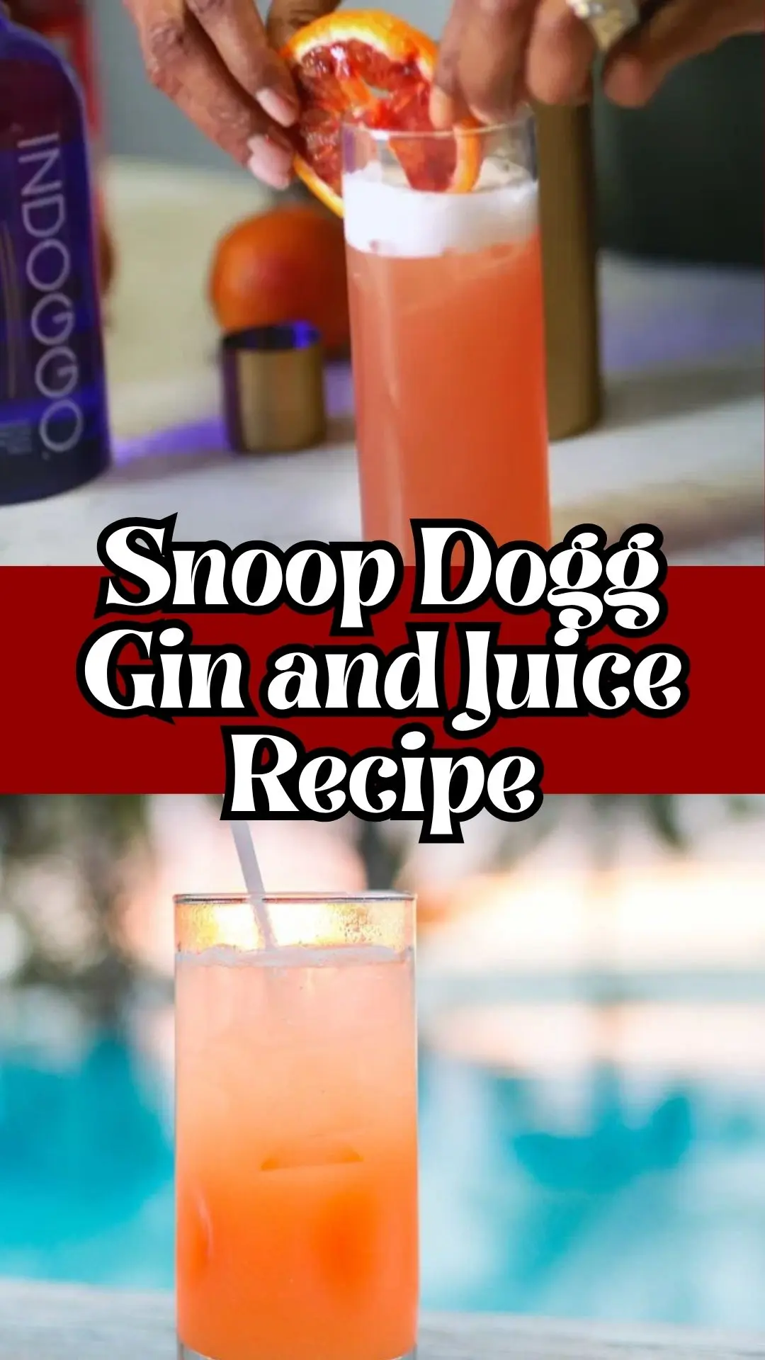 Snoop Dogg Gin and Juice