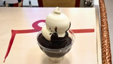 Dairy Queen Cocoa Fudge Recipe