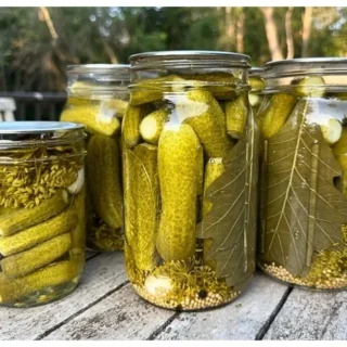Ted's Montana Grill Pickled Cucumbers Recipe