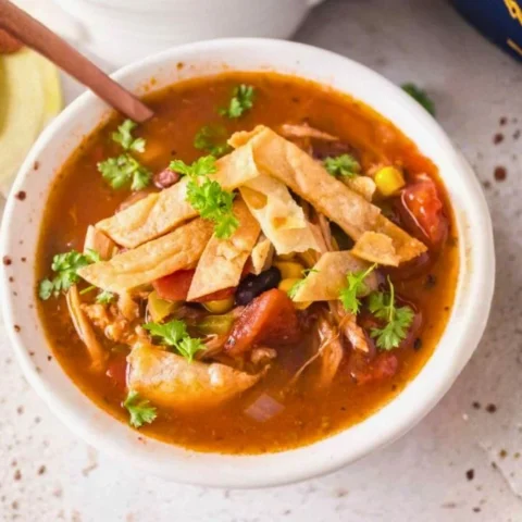 Saltgrass Chicken Tortilla Soup Recipe