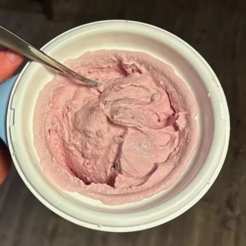 Dash My Mug Protein Ice Cream Recipe